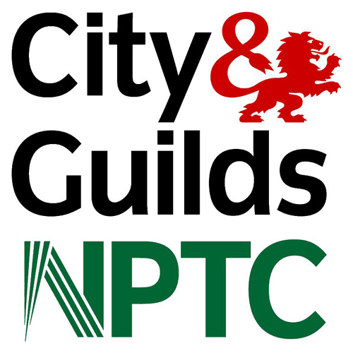 East End Tree Services City & Guilds, NPTC