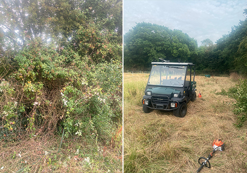 Site Clearance In Essex & London